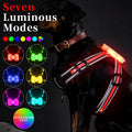 USB-rechargeable luminous dog lead showing seven colour-changing modes on nylon strap
