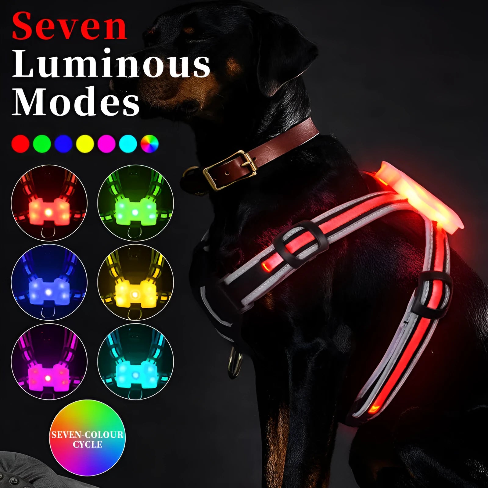 USB-rechargeable luminous dog lead showing seven colour-changing modes on nylon strap