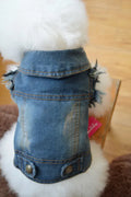 Retro scratch pattern denim dog vest in dark and light colours for autumn and winter wear