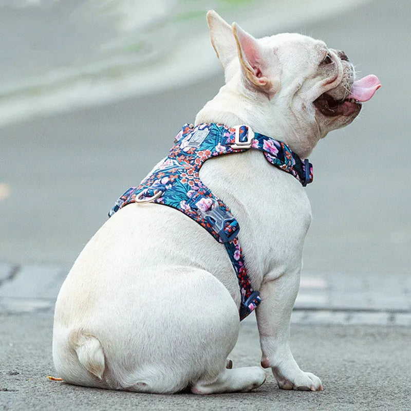 Floral pattern cotton pet harness with chest strap on dog during walk