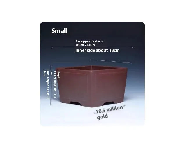 Square purple clay succulent bonsai pot in classical style on tabletop