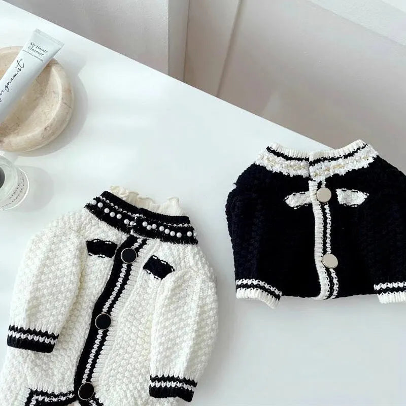 Korean style white dog sweater with pearl collar detail on small breed dog