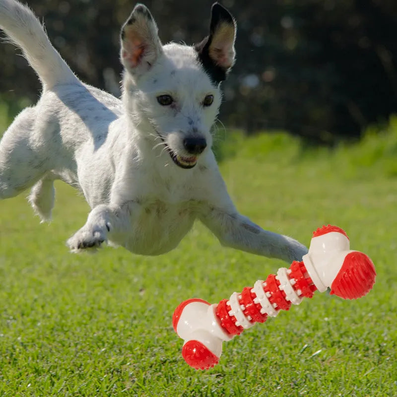 Blue orange red bone-shaped interactive dog toy for small breeds with chewable ends and treat compartment