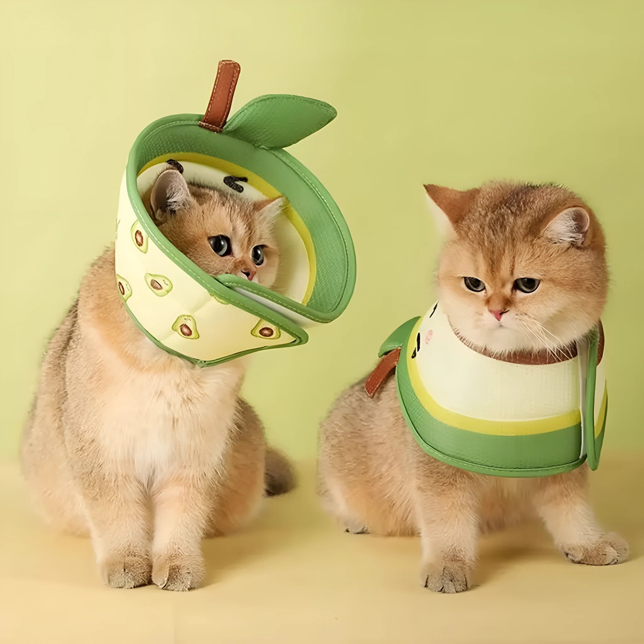 Soft grey EPE foam cat cone collar with adjustable white strap fastened around a cat's neck.