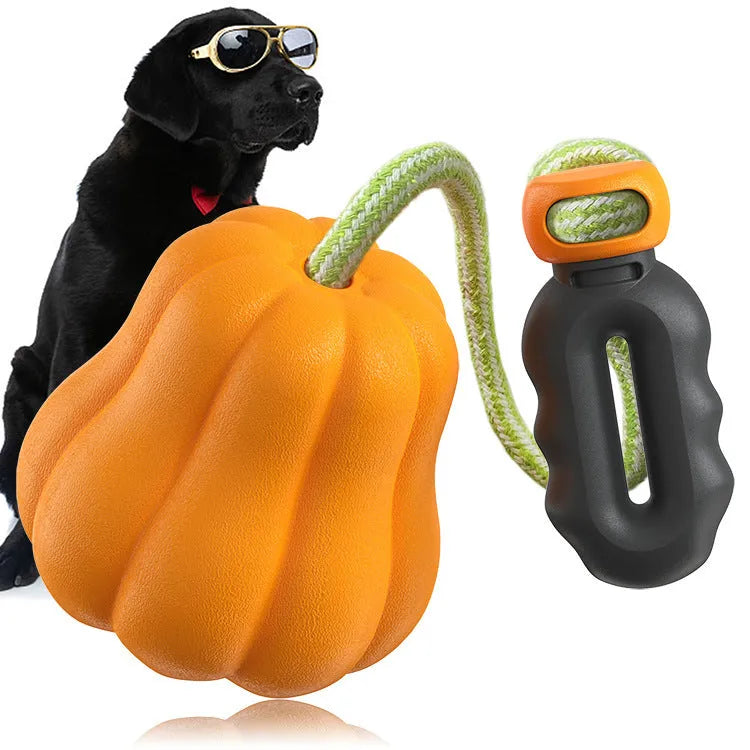 Orange plastic pumpkin dog toy with attached rope for outdoor fetch games