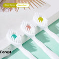 Box containing 20 disposable bead toothbrushes for travel, with mint, peach, and plum green tea flavour options.