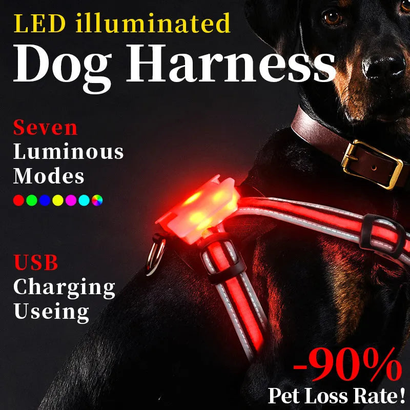USB-rechargeable luminous dog lead showing seven colour-changing modes on nylon strap