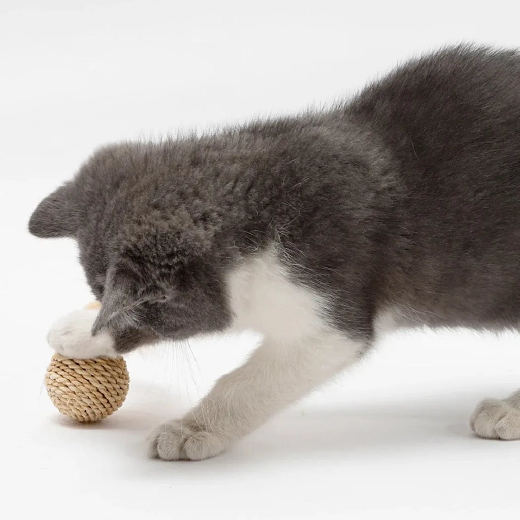 Two cat toys: rattan ball and faux feather ball with bell for kitten play