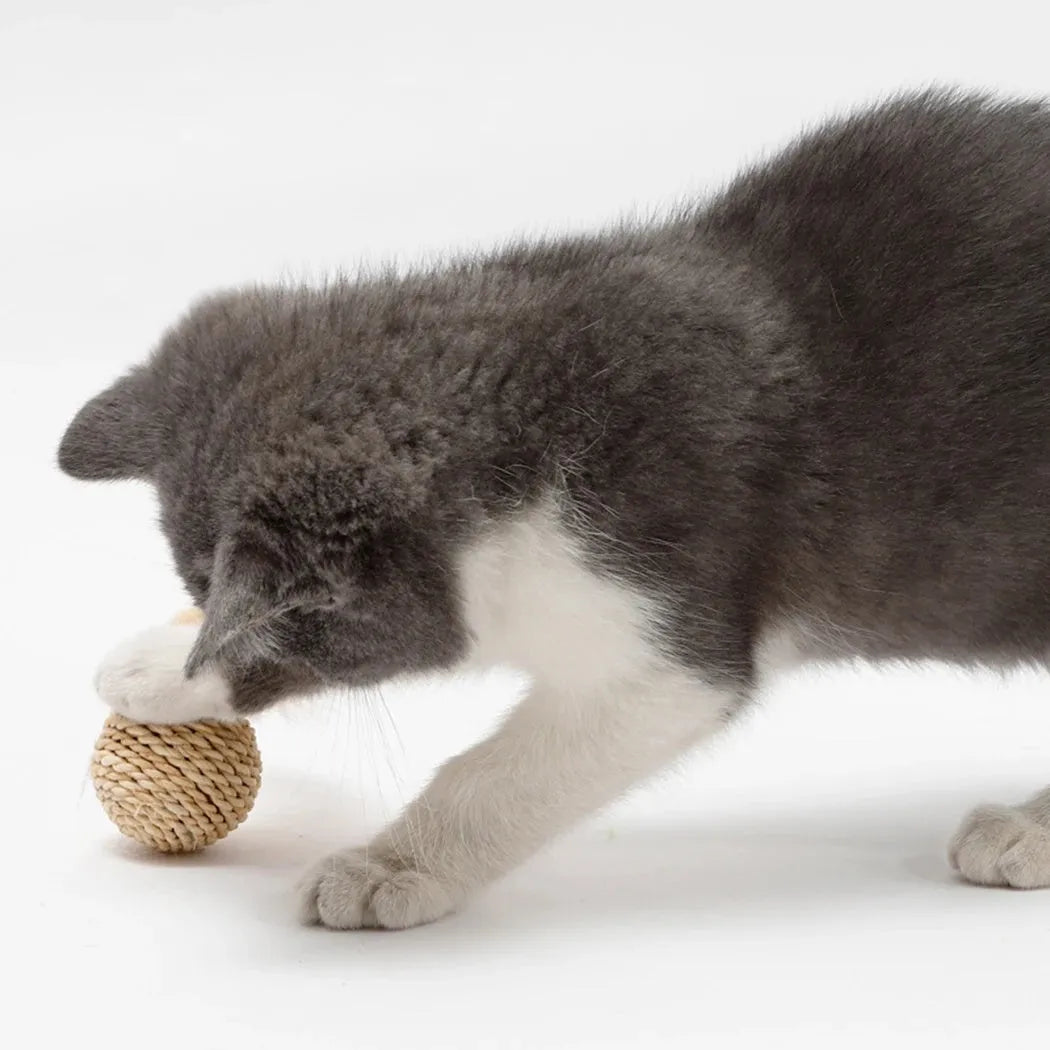 Two cat toys: rattan ball and faux feather ball with bell for kitten play