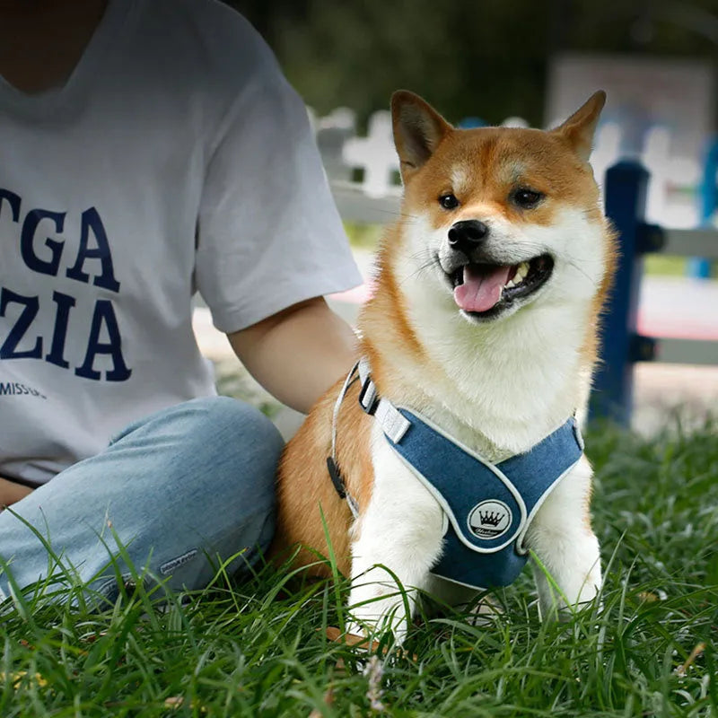 Adjustable dog cat harness with breathable mesh and metal back ring in multiple colours