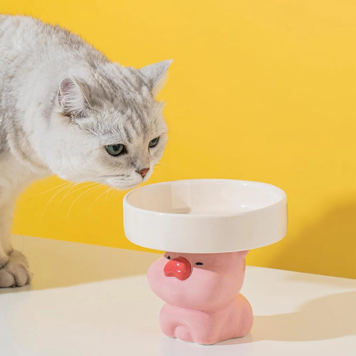 Raised ceramic cat bowl with animal theme design showing 4.92 inch elevation and 15cm diameter