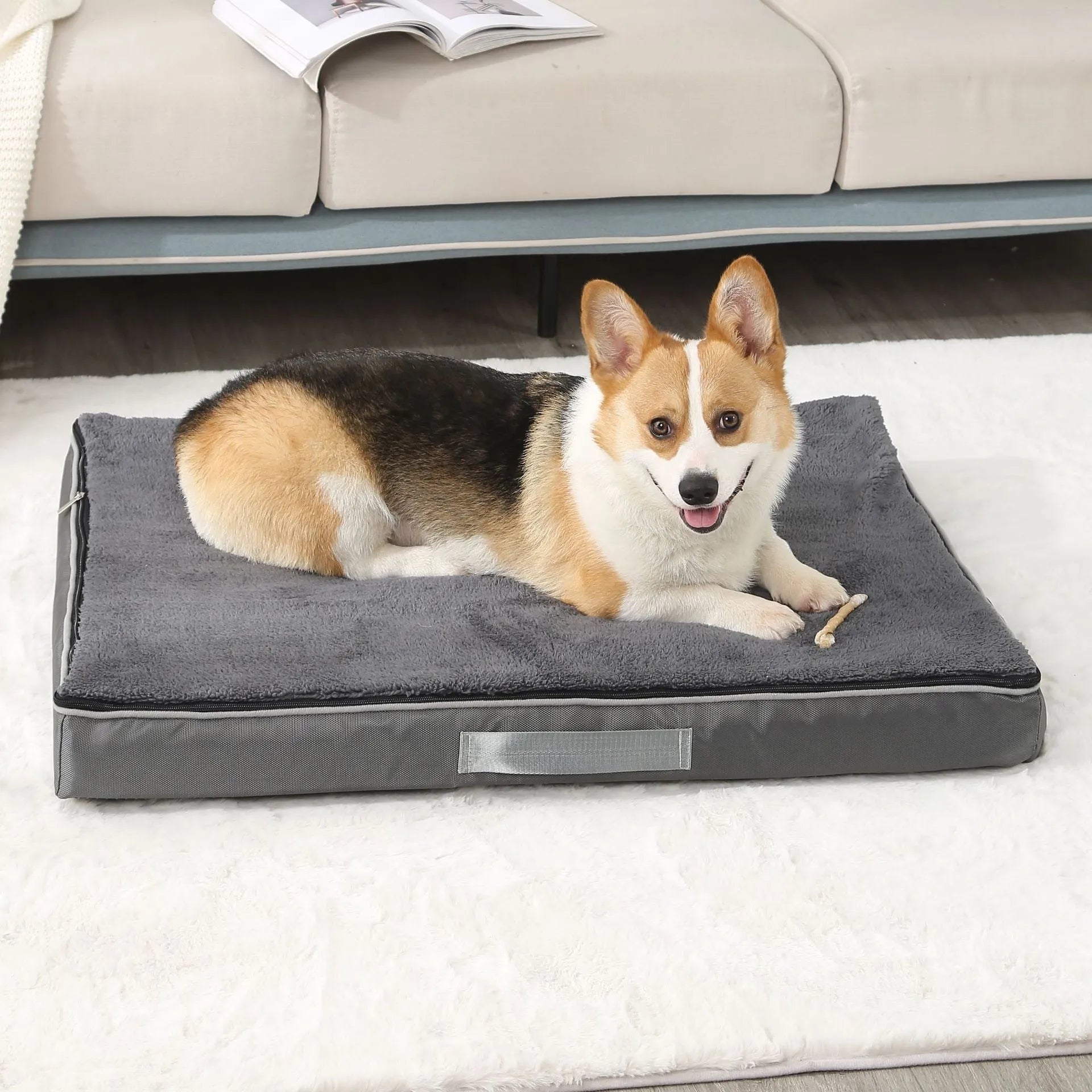 Brown removable washable sponge dog mat with velvet finish on a sofa