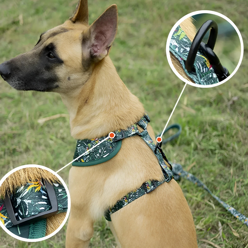 Six-piece adjustable cloth dog harness set with leash, collar, waste bag, bow, and bib scarf in assorted colours.