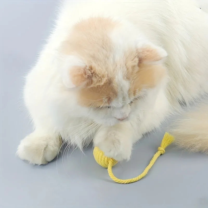 Colourful cat toy ball with rope handle and built-in bell for interactive play