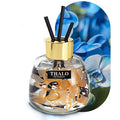 Glass bottle car perfume ornament aromatherapy diffuser in bottle shape with loose incense