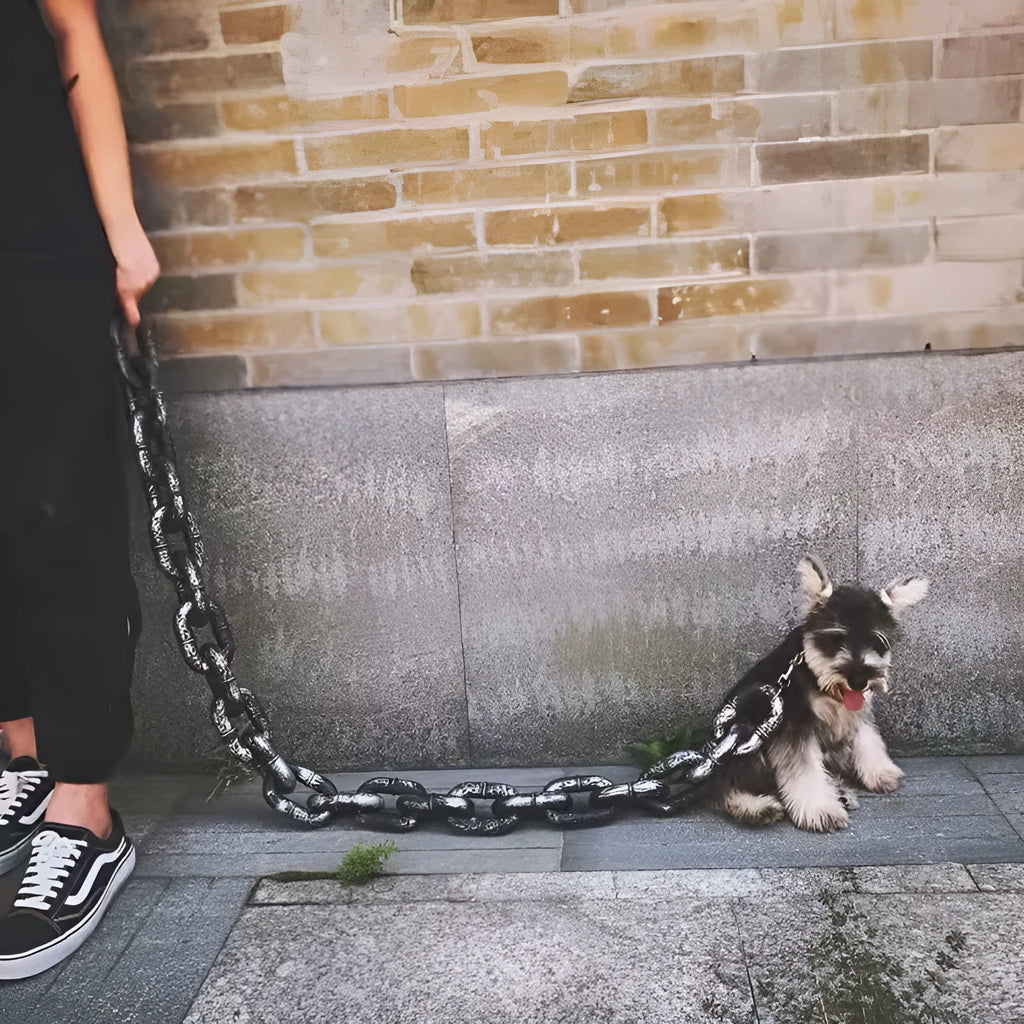 PP plastic dog leash prop in bronze, antique silver, and black colour options for video production.