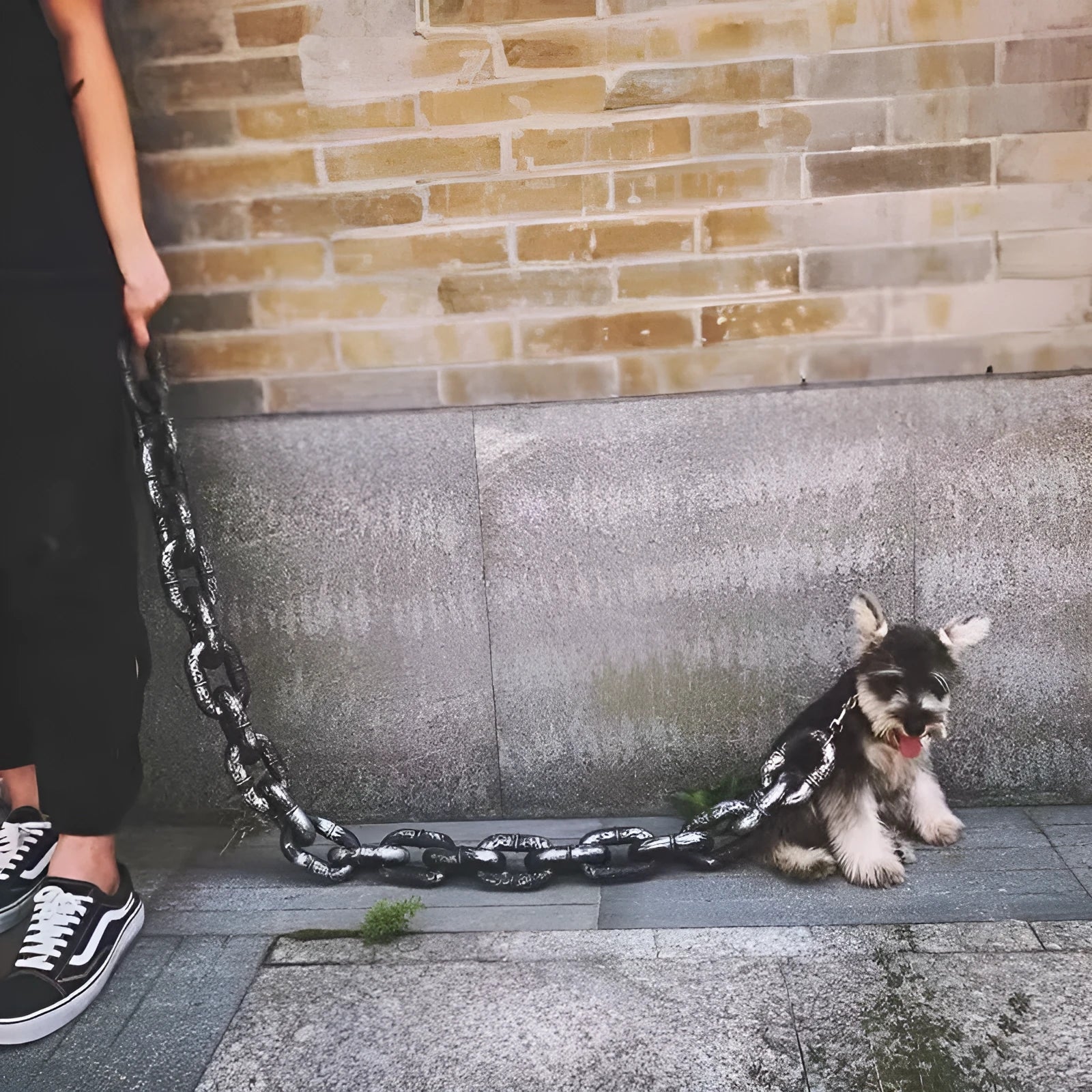 PP plastic dog leash prop in bronze, antique silver, and black colour options for video production.