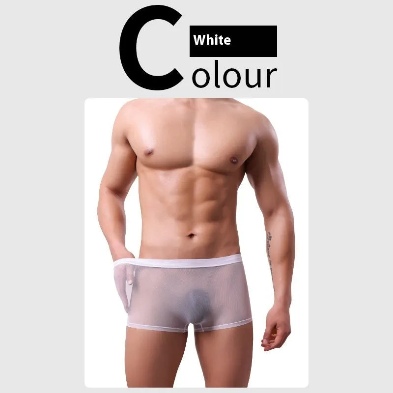 Men's mesh boxer briefs in black, white, green, pink, sapphire blue, and skin colour with low waist design