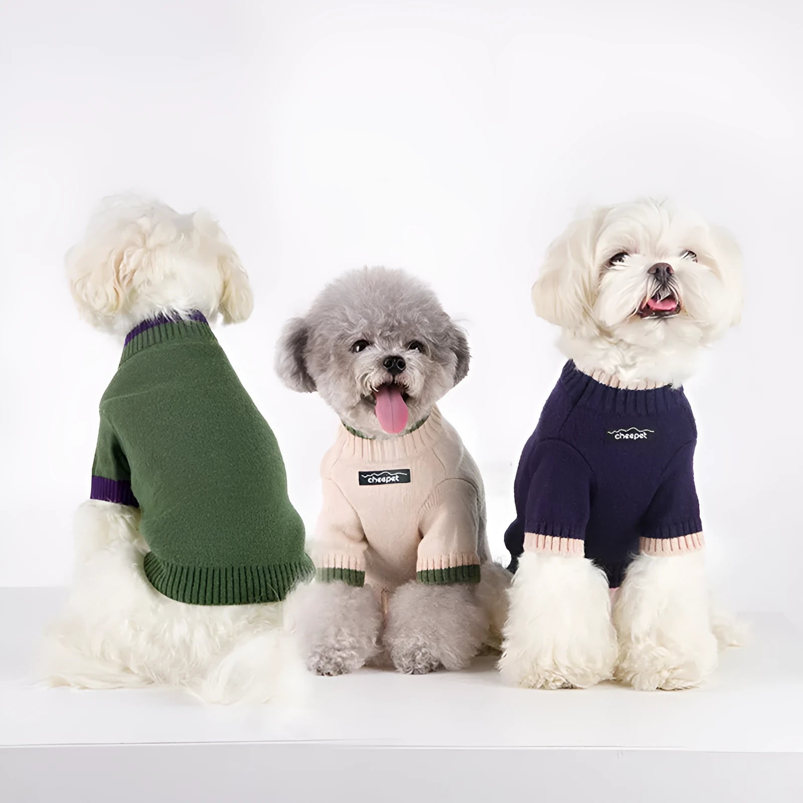 Two-leg pet sweater wool fabric British style with contrast colour trim for dogs
