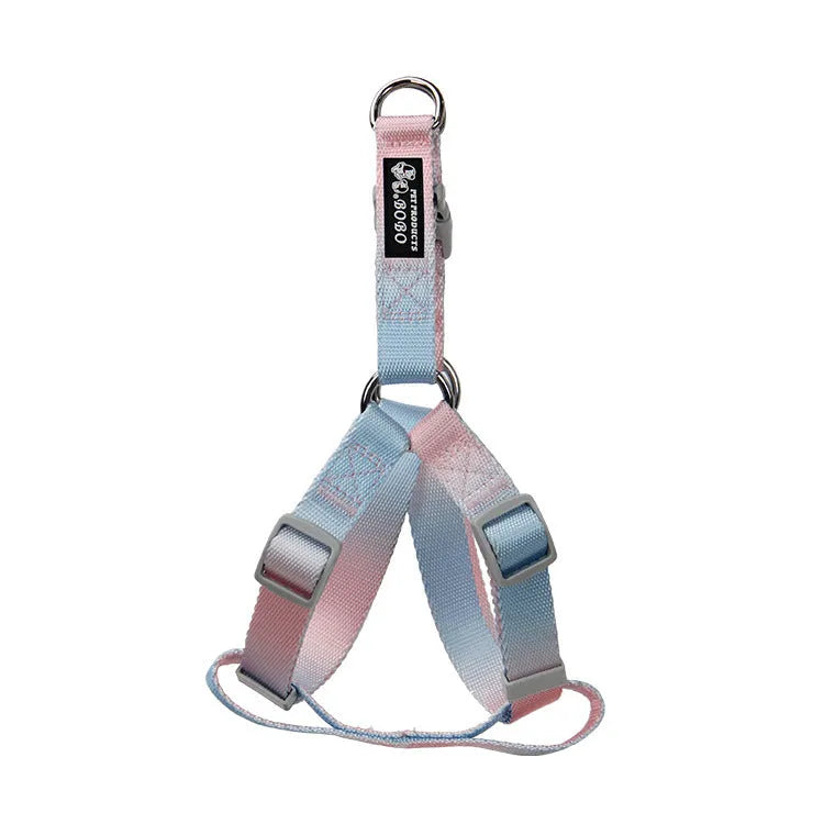 Gradient colour dog leash set showing pink and blue nylon collar and chest strap harness options