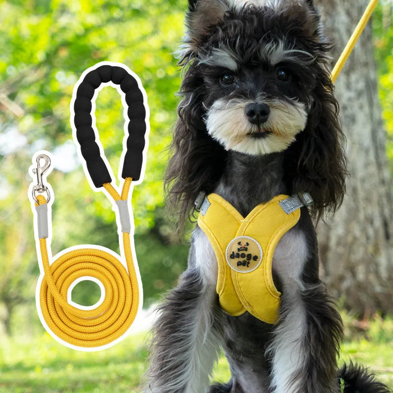 Dog wearing blue vest with attached hand holding rope leash for walking control