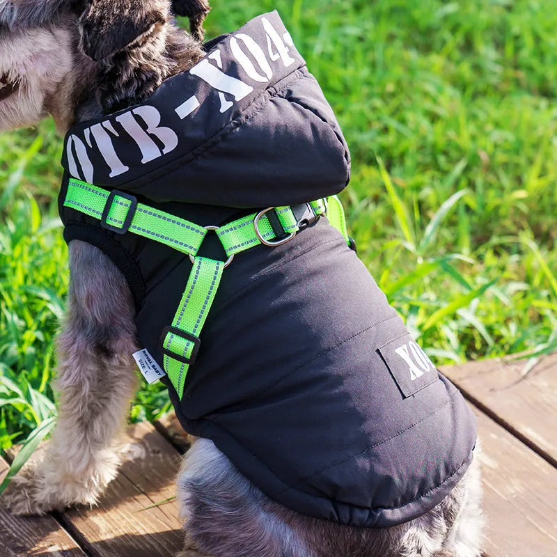 Fleece-lined waterproof dog winter jacket with hood in red colour on small dog