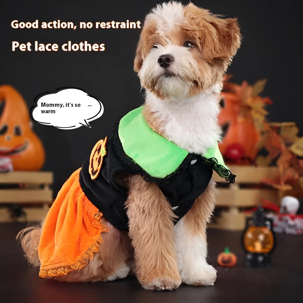Halloween pet costume showing pumpkin skirt and sweater designs in crystal velvet for dogs and cats