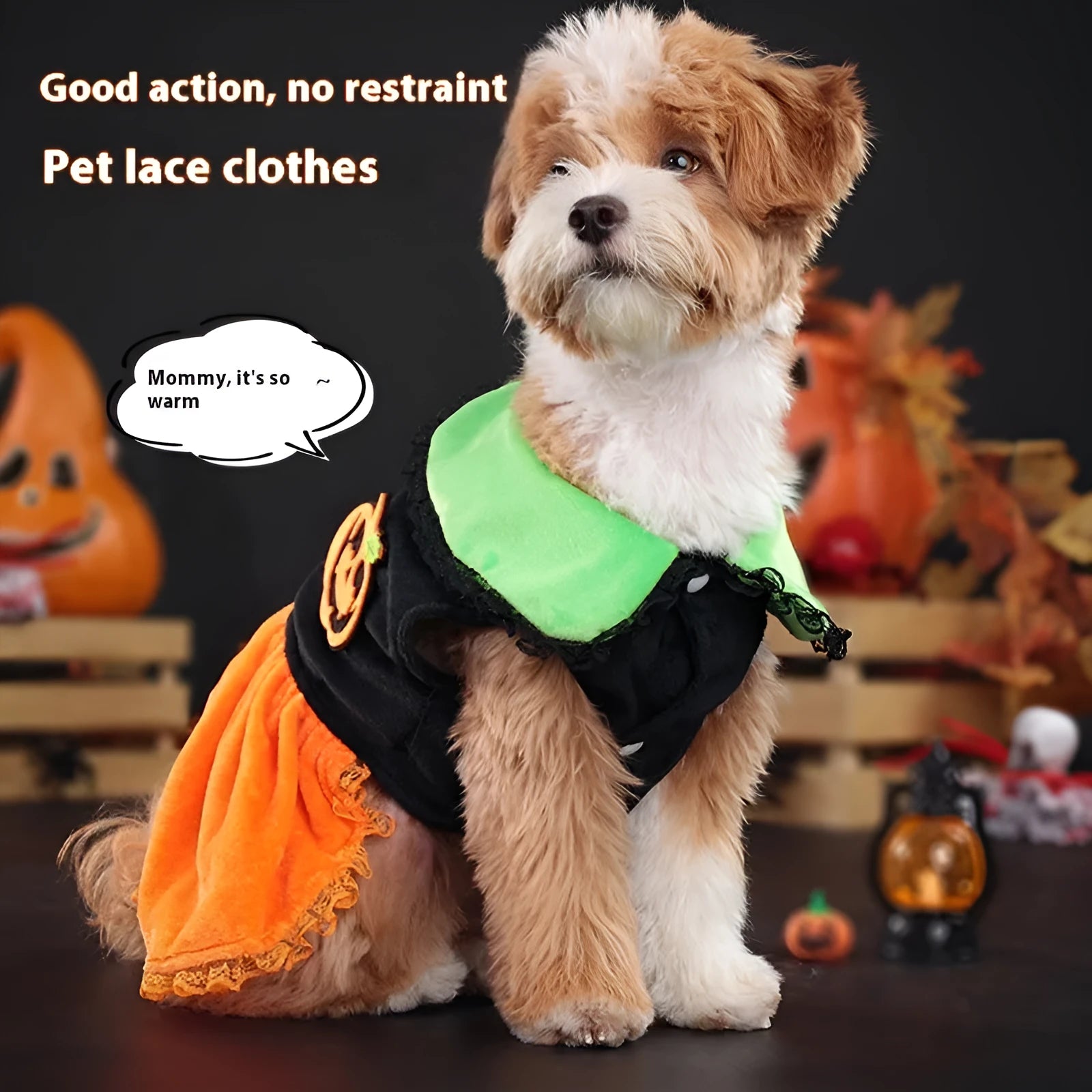 Halloween pet costume showing pumpkin skirt and sweater designs in crystal velvet for dogs and cats