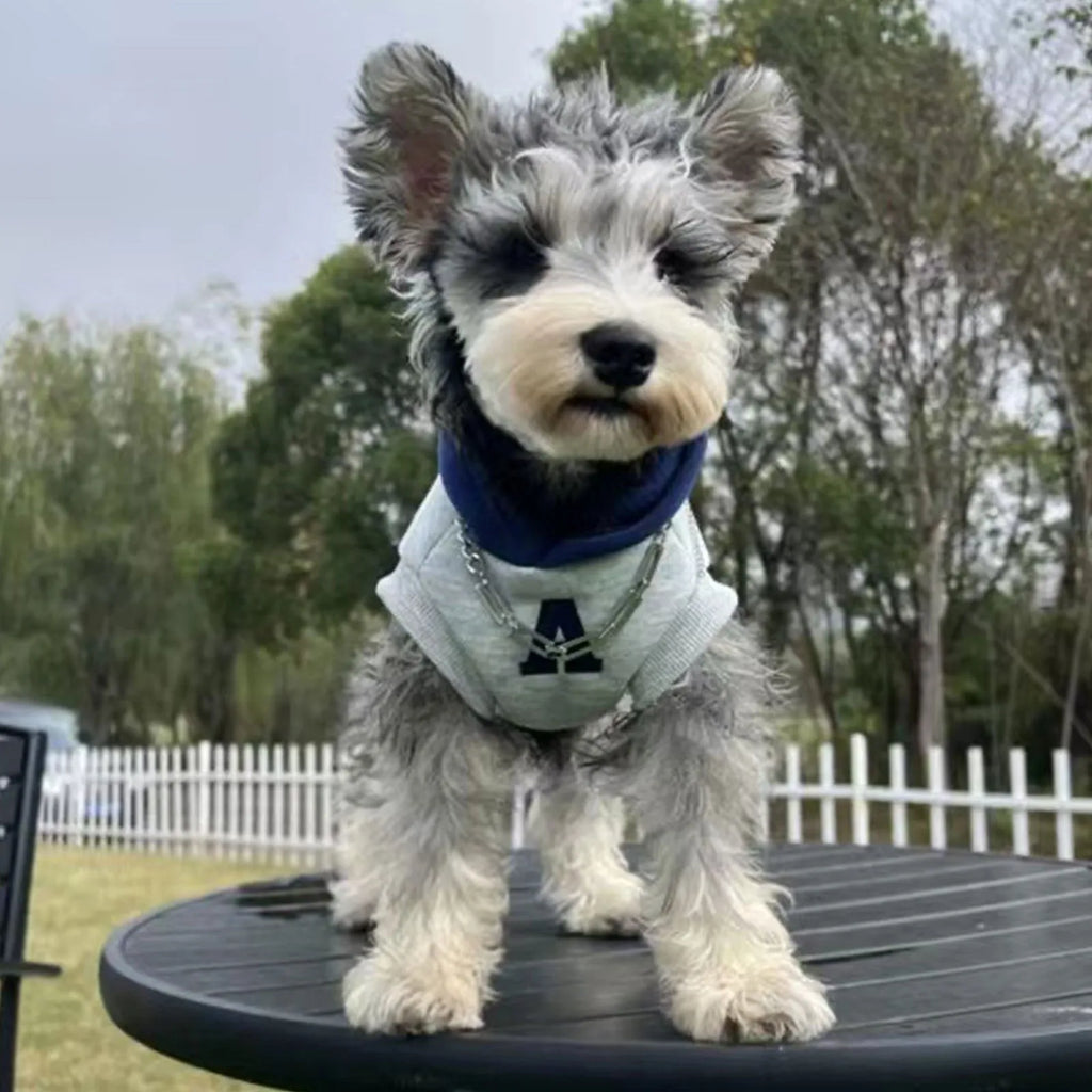 Blue slim-fit pet hoodie with reflective white letters on a dog, showing the hoodie's casual style and size.
