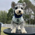 Blue slim-fit pet hoodie with reflective white letters on a dog, showing the hoodie's casual style and size.