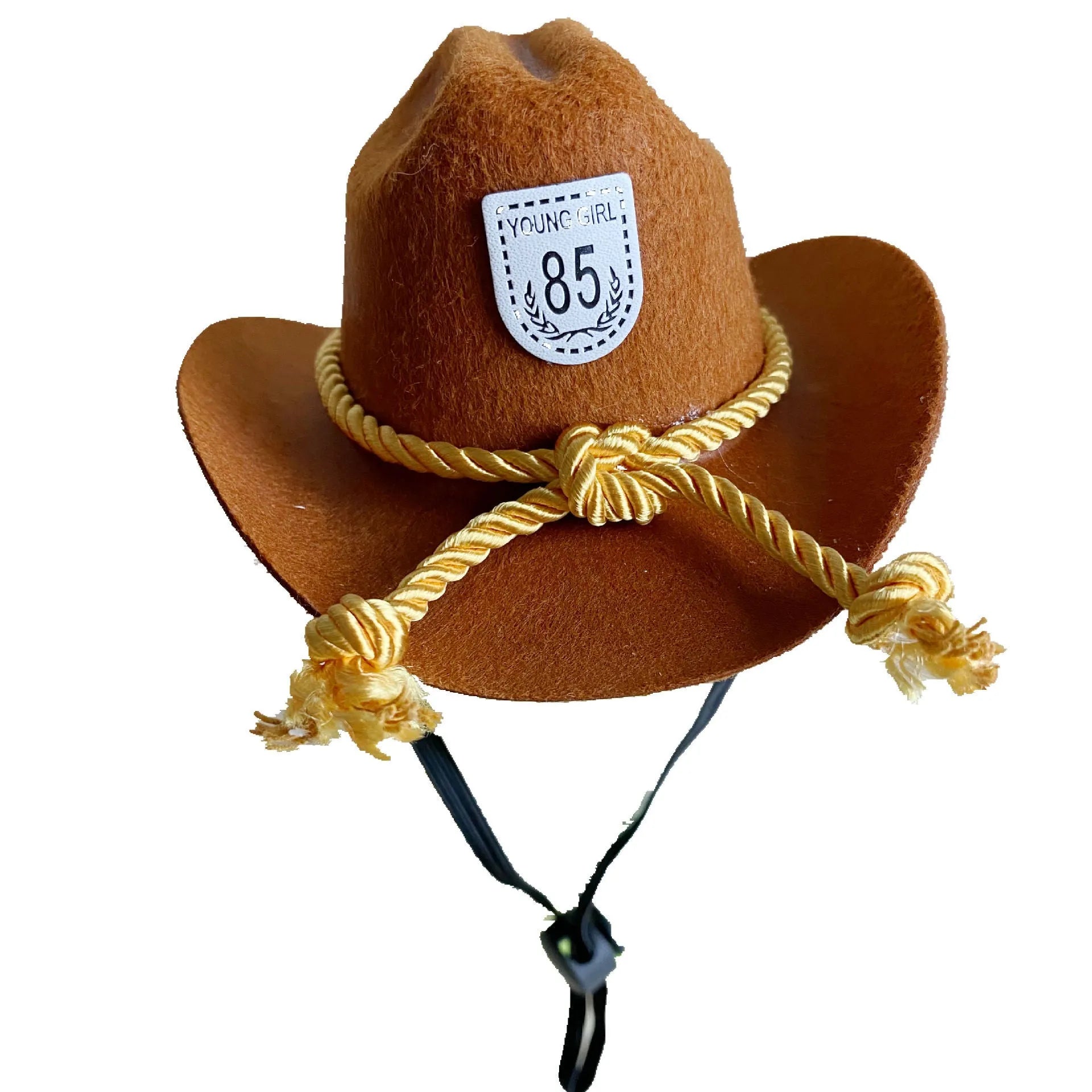 British cowboy style hat for cats with decorative velvet belt trim