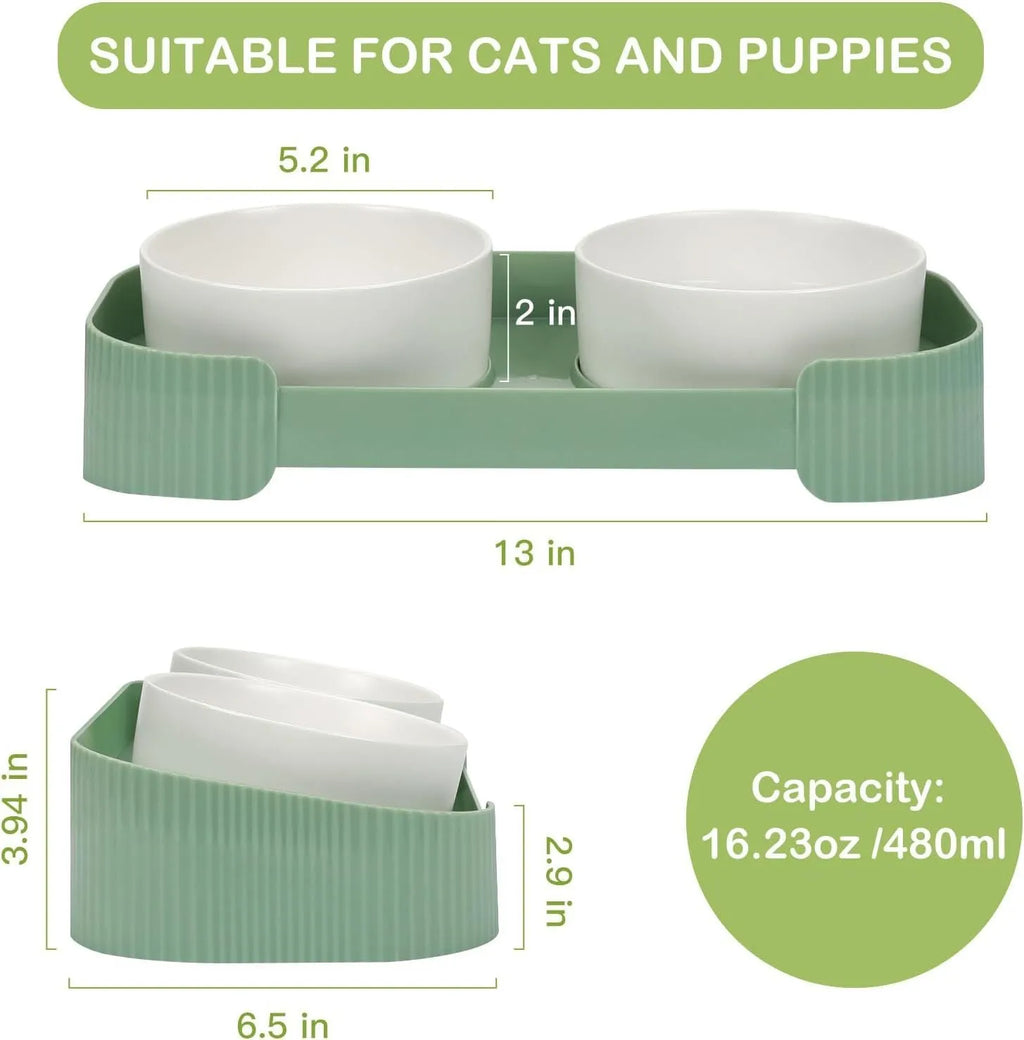 Tilted ceramic pet bowls on elevated stand with 15-degree angle for cats and dogs