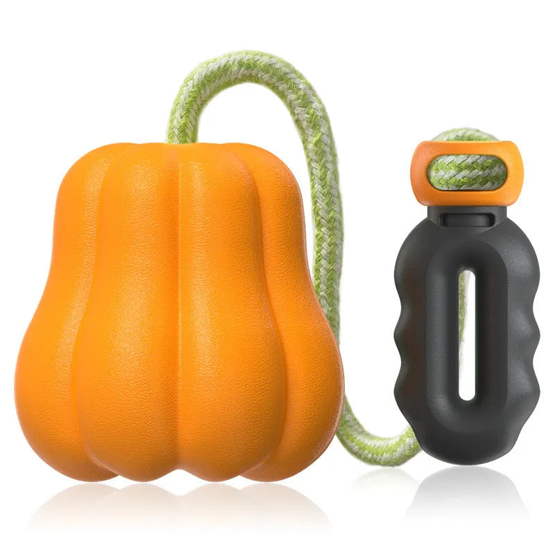 Orange plastic pumpkin dog toy with attached rope for outdoor fetch games