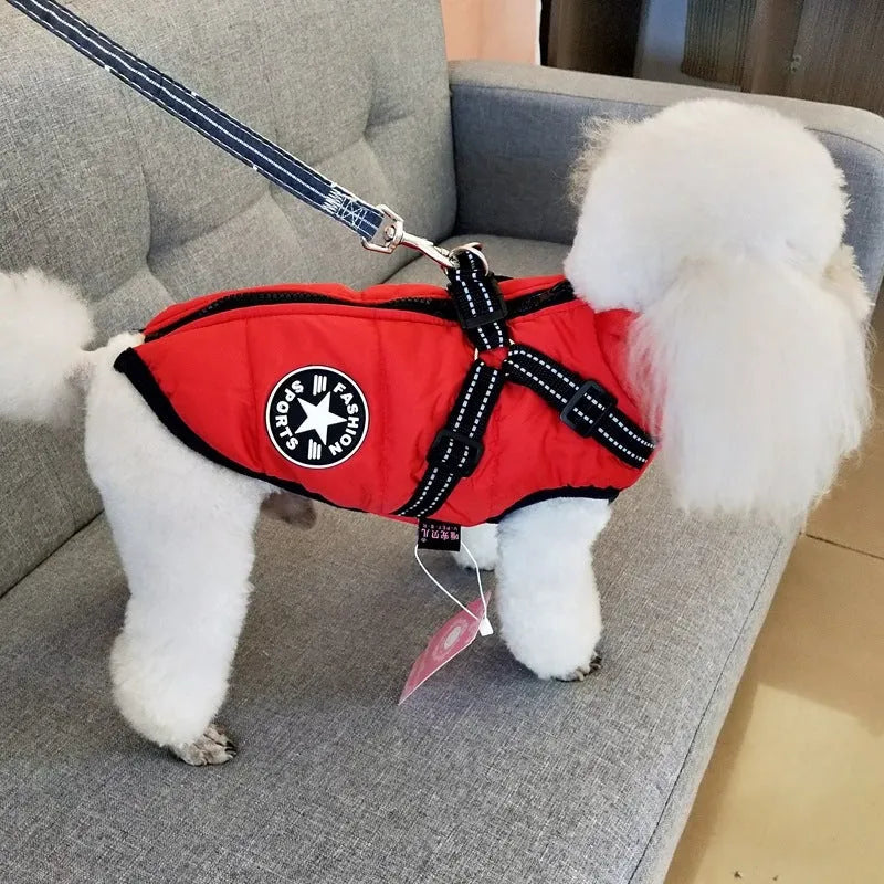 Red waterproof dog coat with integrated harness on a Labrador, showing the rain silk fabric and sizing options.