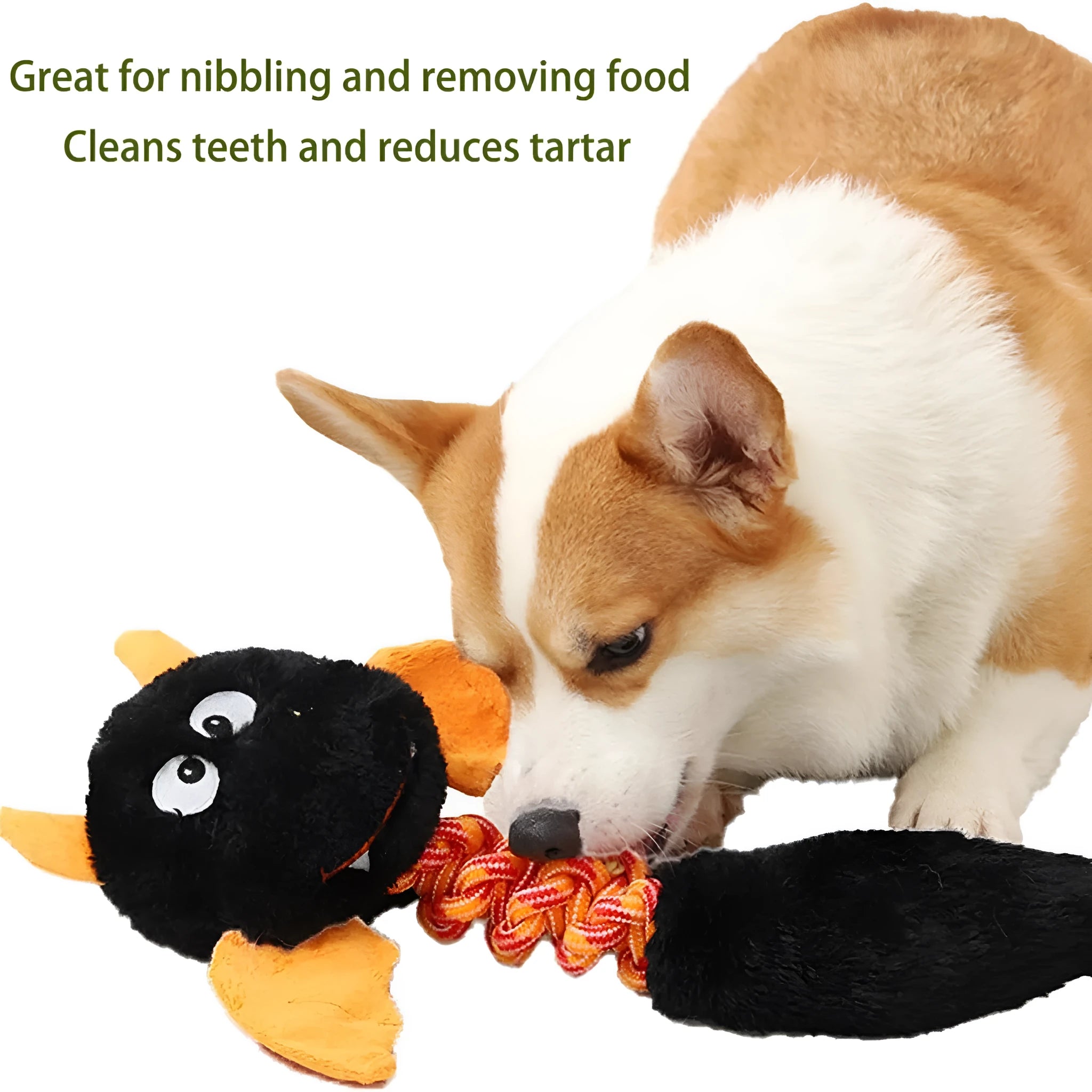 Soft plush dog toy with squeaker, rattle, and rope knot in black, green, or red.