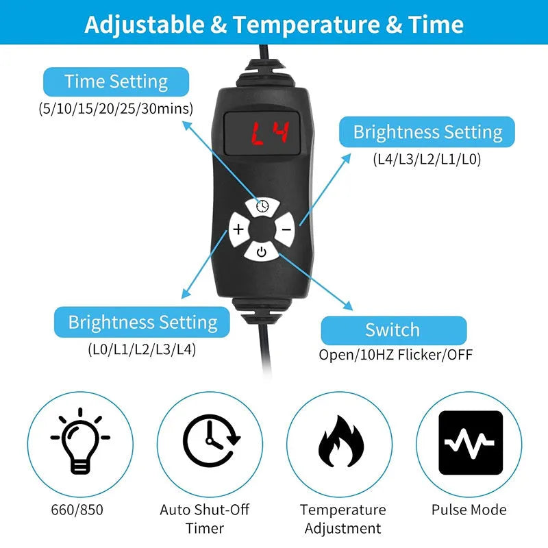 Black red light infrared therapy belt for waist pain relief with adjustable free-size design