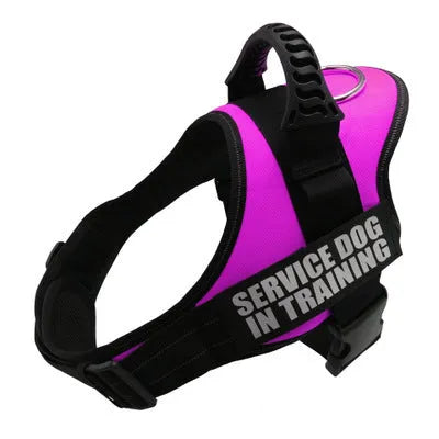 Reflective adjustable dog harness with no-pull chest strap in multiple colour options