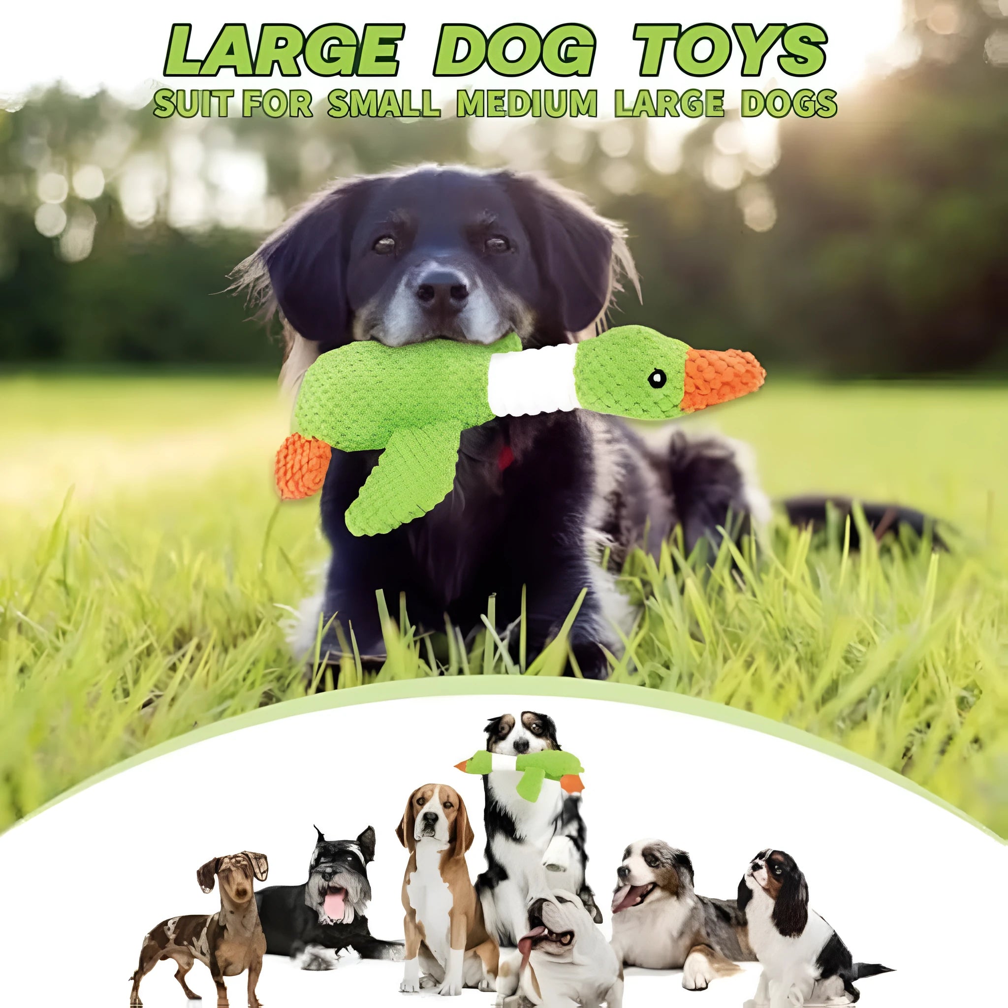 Blue, green, and grey duck-shaped durable dog plush toy with squeaker for chewing and play