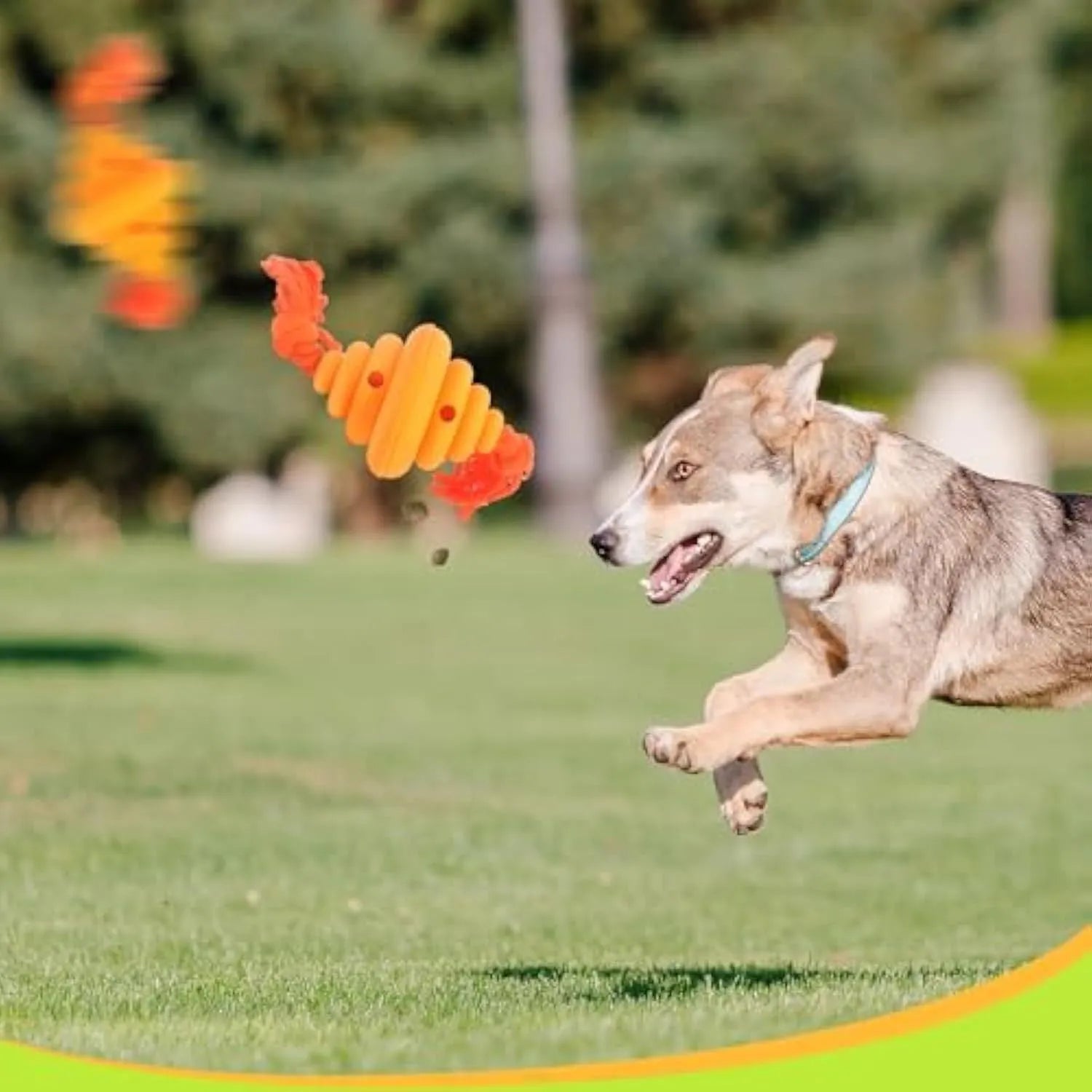 Green dog ball with rope toy showing split design and food dispenser hole