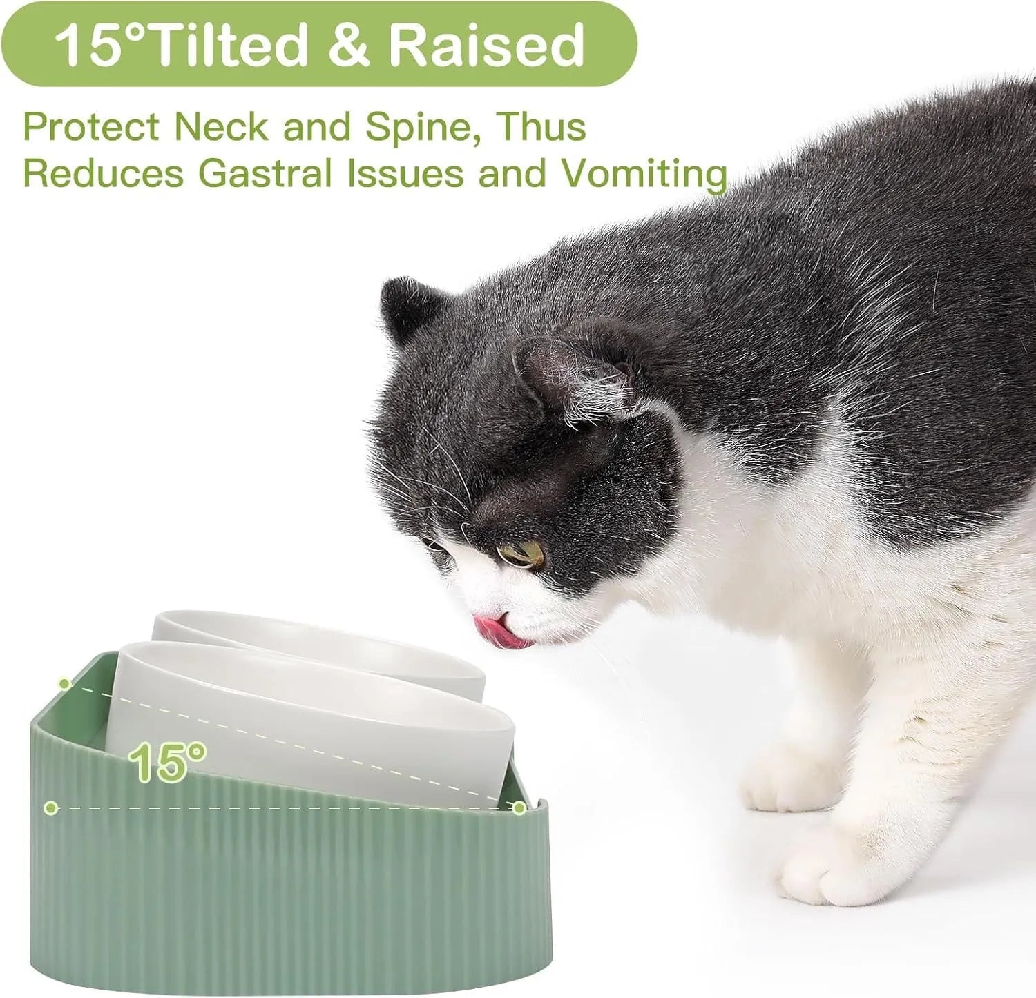 Tilted ceramic pet bowls on elevated stand with 15-degree angle for cats and dogs