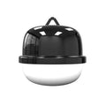 GPS pet tracking device attached to dog collar showing black waterproof case with charging port