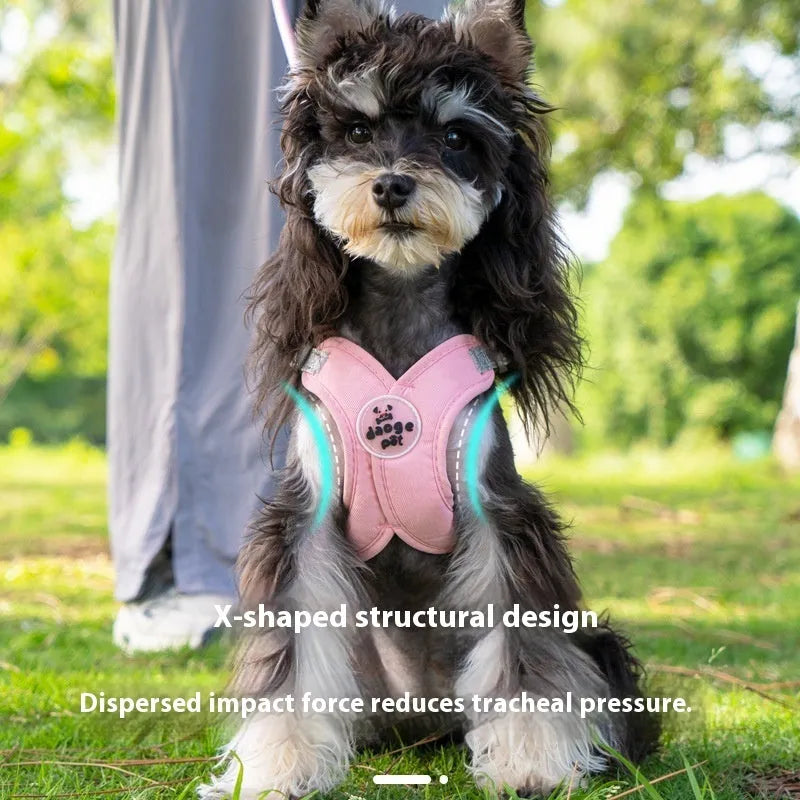 Dog wearing blue vest with attached hand holding rope leash for walking control