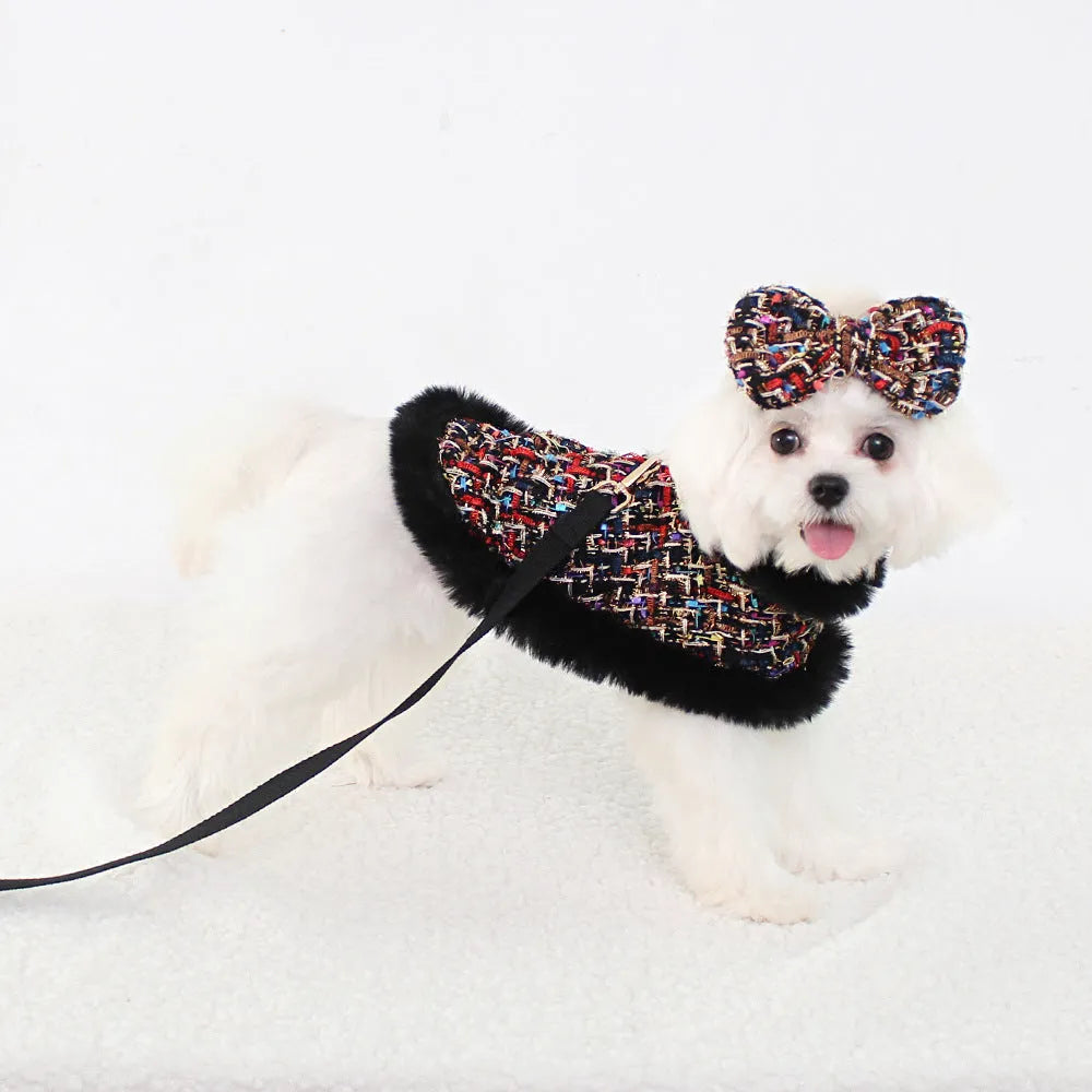 Dog wearing cloak costume with chest strap and matching traction rope in beret or bow style