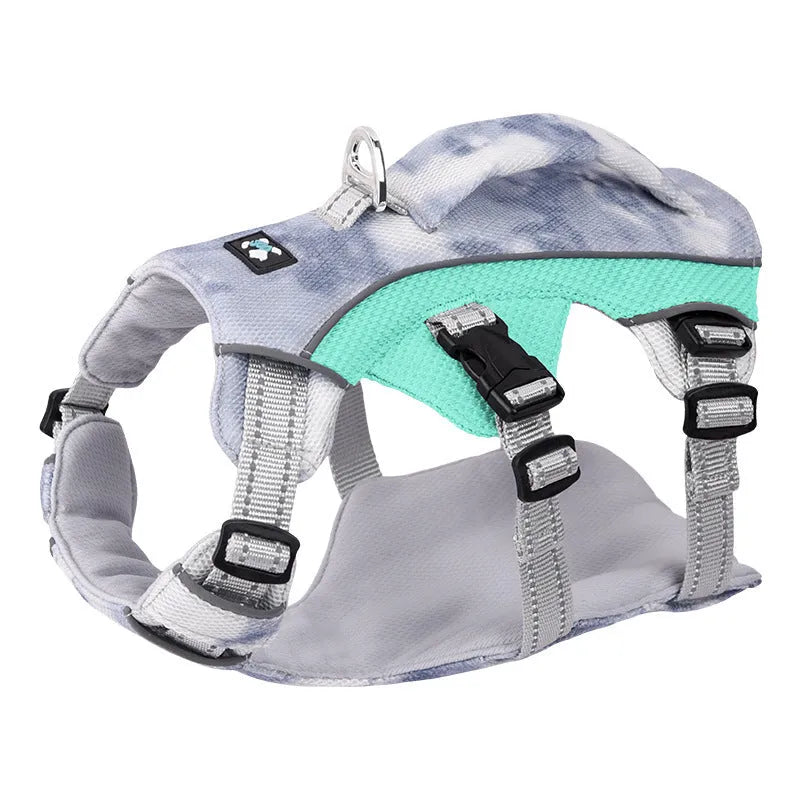 Reflective light blue polyester cooling vest and chest strap harness for a dog on a summer walk.