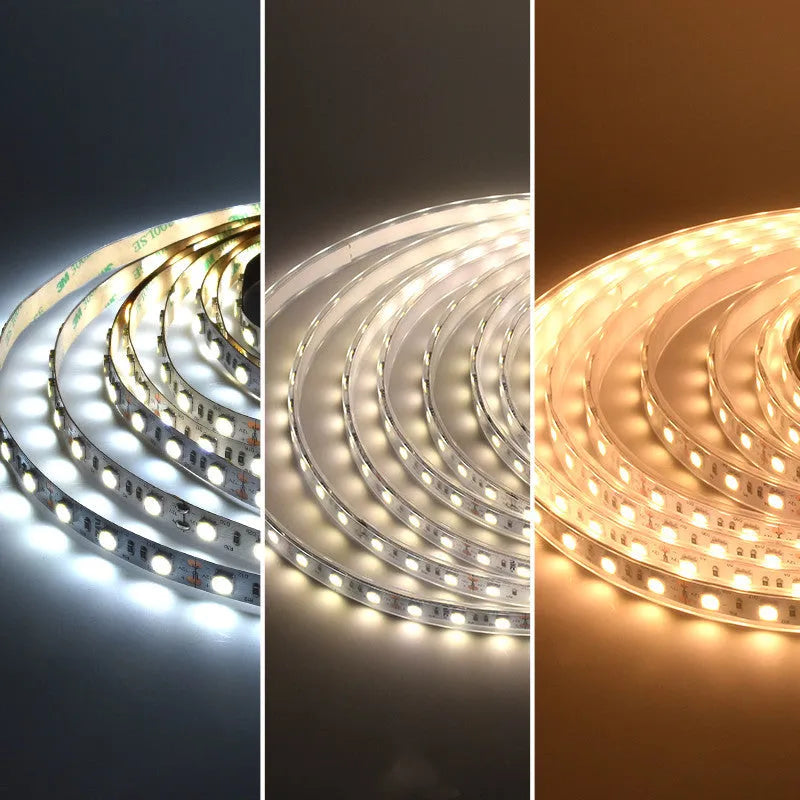 Rectangular patch-style 12V LED light strip mounted under a supermarket shelf for white accent lighting.