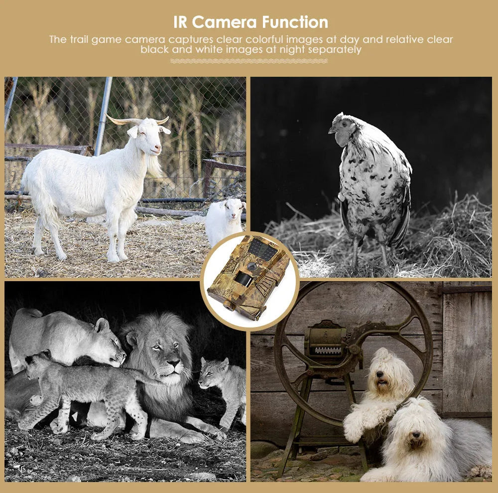 Compact wireless trail camera with belt clip for outdoor mounting