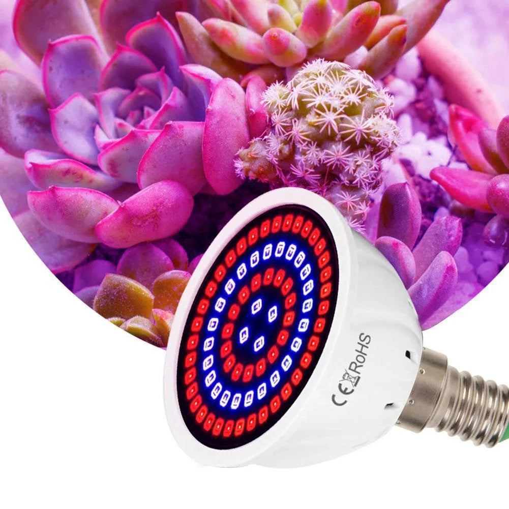 White LED plant growth lamp with 80 beads for indoor potted plants covering 30-80 square centimetres