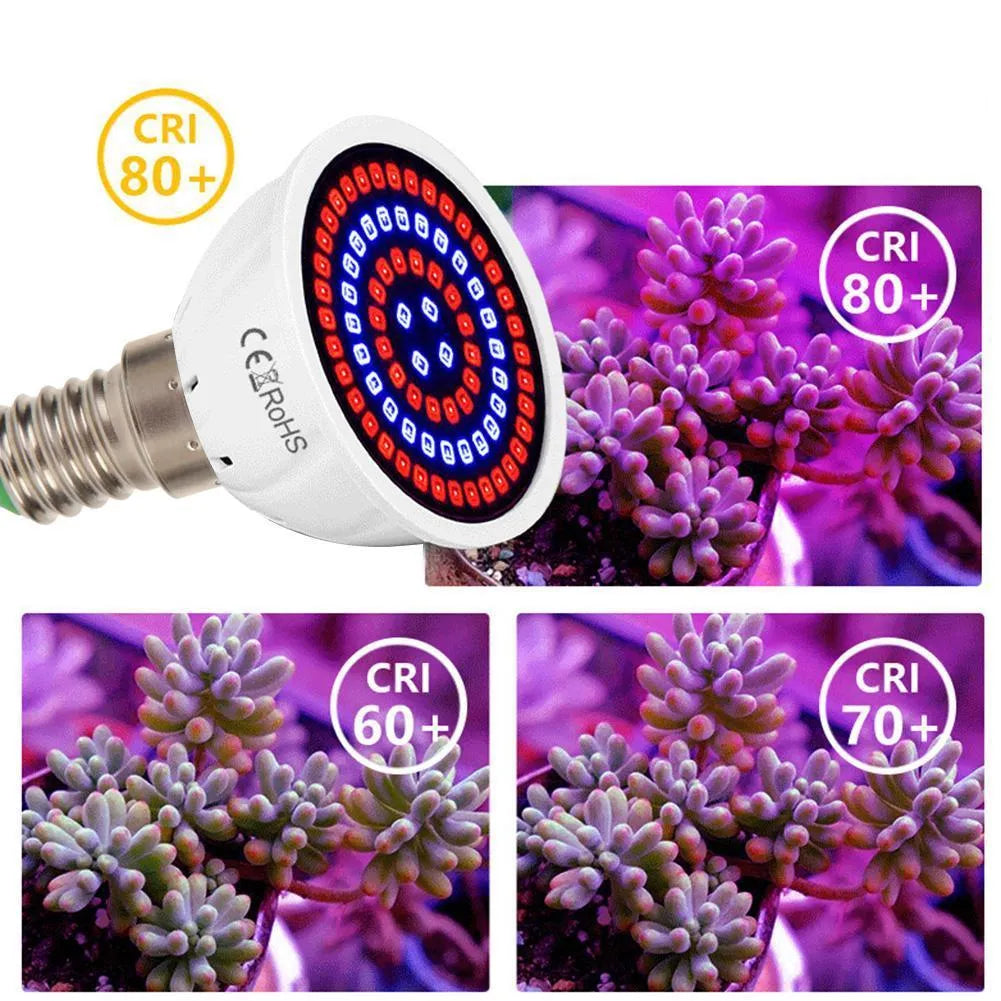 White LED plant growth lamp with 80 beads for indoor potted plants covering 30-80 square centimetres
