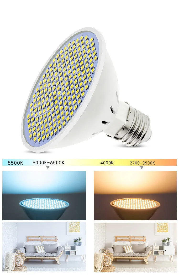 E27 screw base LED lamp cup bulb showing warm white and cool white light options