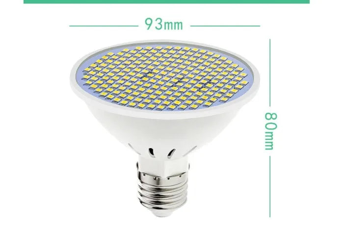 E27 screw base LED lamp cup bulb showing warm white and cool white light options